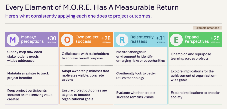 graphic defining elements of the M.O.R.E. framework