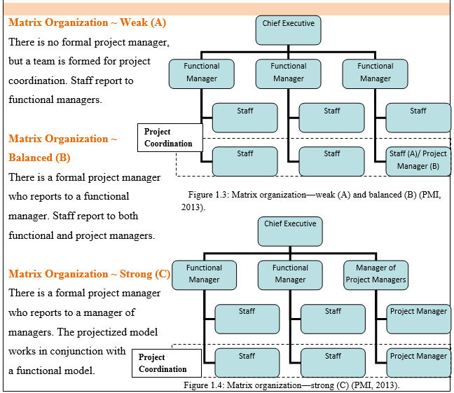 Program Management Team Structure