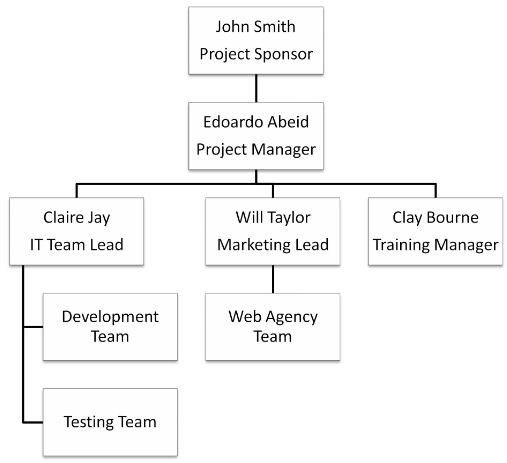 project management organization chart template