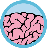 <b>Brain</b><br> You have answered 5 PMchallenge questions correctly