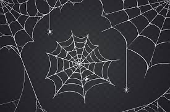 Scary Spider Web Vector Illustration White Cobweb Silhouette Isolated On Dark Background Spooky Halloween Decoration Element For Your Design Eps 10 Stock Illustration - Download Image Now - iStock