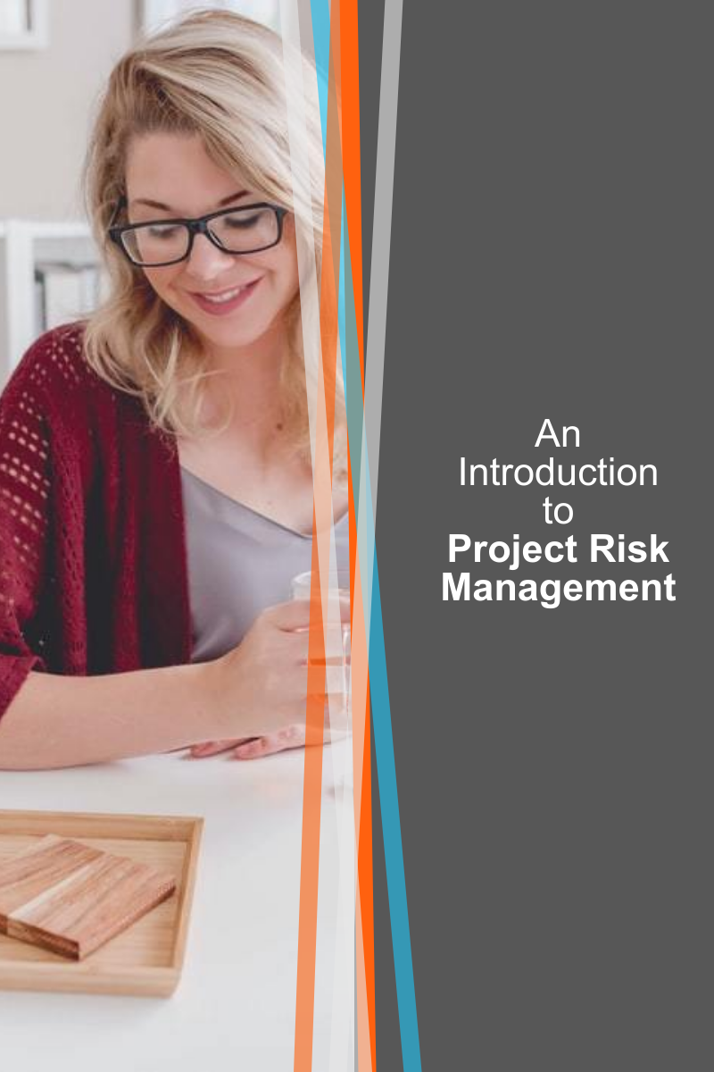 ProjectManagement.com - Project Risk Management: An Introduction